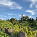 아랑민박 이미지