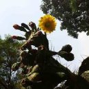 벧엘하우스 이미지