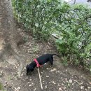 즐거운유치원 이미지