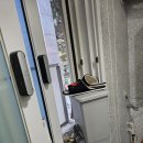 마로니에 | 안산 상록구 월피동 대경마로니에 빌라 입주청소 후기｜구축 빌라 내부 전체 클리닝