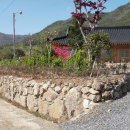 행복펜션 민박 이미지