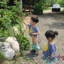 빈이네농장 이미지