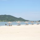 신안오토