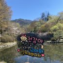 언니네능이해물라면 | [임신일기] 태교여행 3편 / 경주 불국사 순산기원 등달기 그리고, 커피플레이스 ☕️