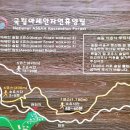 찾아가는 힐링문화생활 | 자연과 아세안 문화가 함께 어우러진 특별한 쉼터, 국립 아세안 자연휴양림 힐링 여행기 : 라오스관