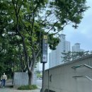 제이피씨방 이미지