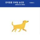 파리바게뜨제주일도점 | 강아지랑 배타고 제주도 가는 법｜목포항 퀸제누비아호 반려견 동반 후기