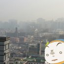 원조해장국 이미지