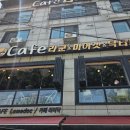 CAFE라쿤&미어캣&닥터피쉬