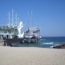 정동진 이미지