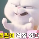 학장과일 이미지