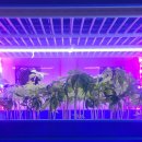 그린팜 주식회사 이미지