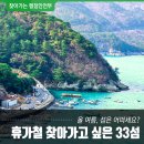 완도 맹선리 상록수림 | 이 섬은 어떠세요? 행정안전부가 선정한 휴가철 찾아가고 싶은 33섬!