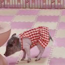 세종월드 이미지