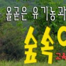 월별 자연농법(1년 계획실천표)