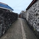 베스트식품