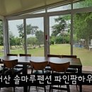 솔마루펜션 네이버블로그