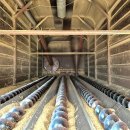 도정특장 이미지