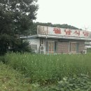 장미빛인생식당 이미지