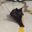 태흥모텔 이미지