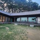 낙안청과 이미지