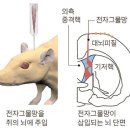 나노네이처 이미지