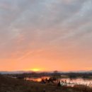 막창사랑 이미지