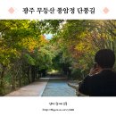 풍암정 | 광주 단풍 시기 무등산 풍암정 가는 길 단풍터널 산책