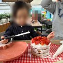 수부길 | 평택 아이랑 갈만한 곳 딸기체험 고덕딸기체험팜 내돈내산 후기