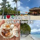 보홀 보홀비치클럽(BBC) vs 오셔니카 리조트 데이유즈 후기(듀말루안 비치, 예약, 가격 차이 총정리)
