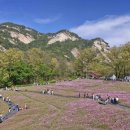 힐링타운 이미지