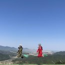 단양사랑주유소 | 누구에게나 버킷 리스트, 충북 단양 여행 필수코스 단양 패러글라이딩 코리아패러 추천