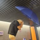 주식회사 수진 | [어쩌면 해피엔딩]대오열극 전석매진 피켓팅 뚫고 다녀온 후기