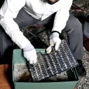 (주)파워캠프 이미지