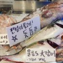 강남-261 이미지