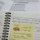 앨투비브레인영어학원 | [교환학생] 토플 독학 후기, 꿀팁, 한 달만에 토플 따기