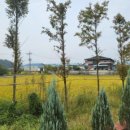 매향민박 이미지