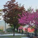 영월강변꽃바위펜션 이미지