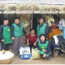 동문동537 이미지