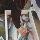 와라당구장 이미지