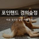 마포 커피만 사먹어도 후원되는 유기견 카페 포인핸드 경의숲점