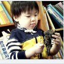 푸른초장어린이집 이미지