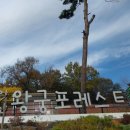 힐링포레스트J
