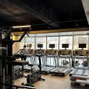 머슬톡 휘트니스 이미지