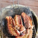 강릉씨클라우드카라반 이미지