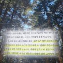 이어령의 마지막 수업 책 | 이어령 김지수 책 후기 | 당신의 삶은 하나의 예술 작품이 되어야 한다 추천...