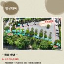 팔월펜션 이미지