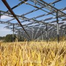 남이태양광발전소 이미지