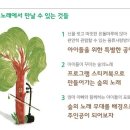 숲의 노래-국악으로 만나는 브레멘음악대 | 숲의 노래 - 국악으로 만나는 브레멘 음악대 - 국립국악원 / 서울공연, 서울관람, 서울나들이, 서울아이...