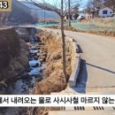 G1143 이미지